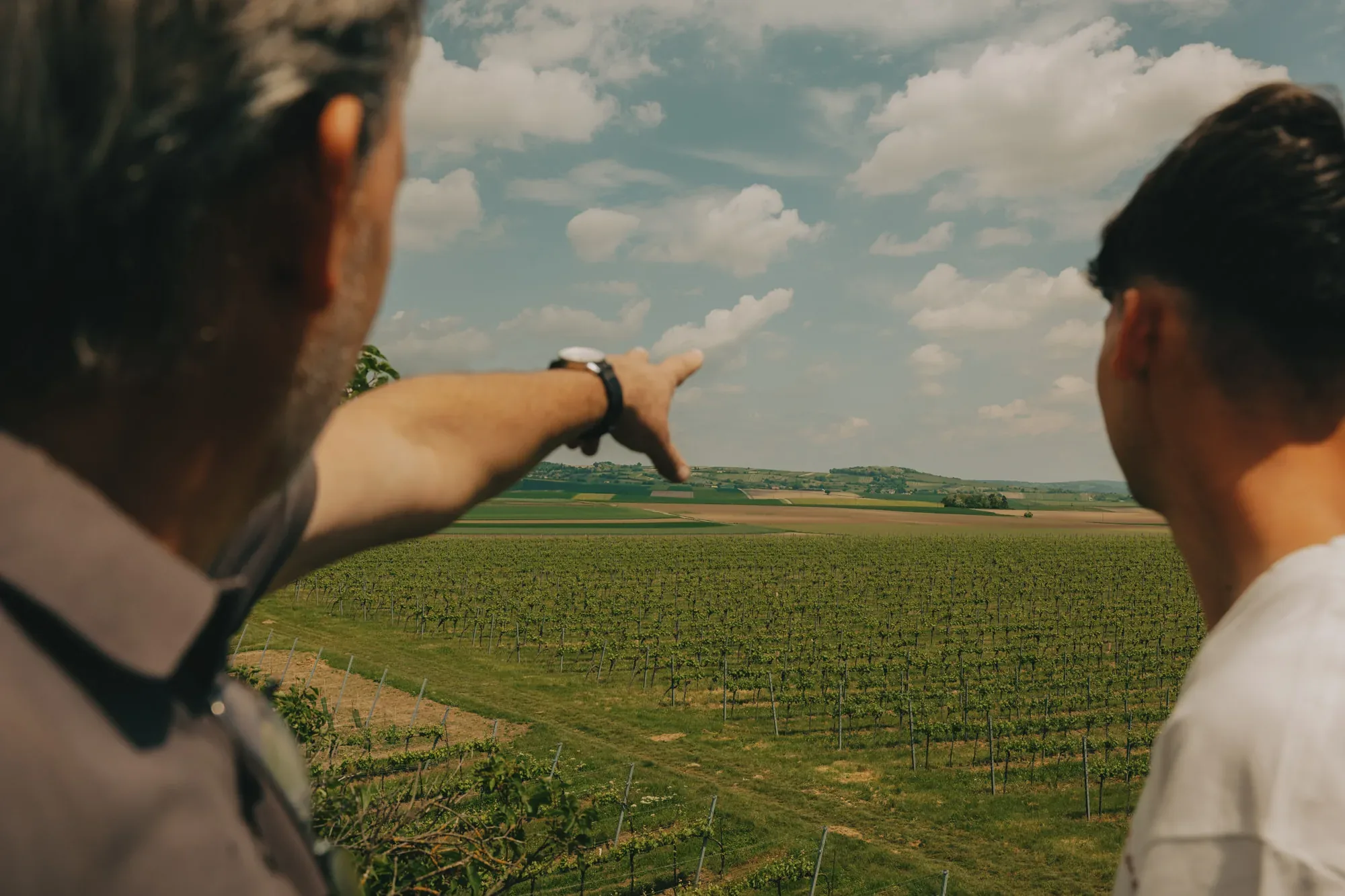 Weingut Fritsch