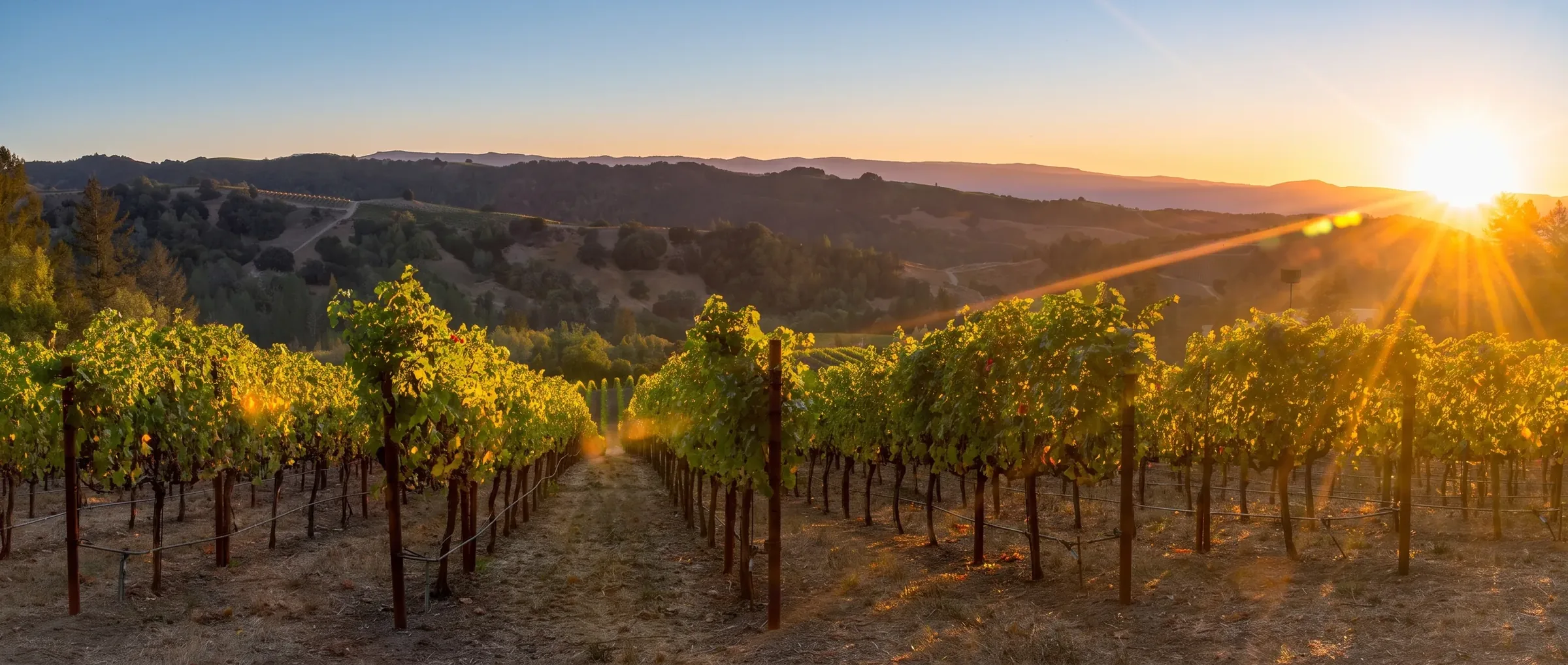 La Jota Vineyard Co.